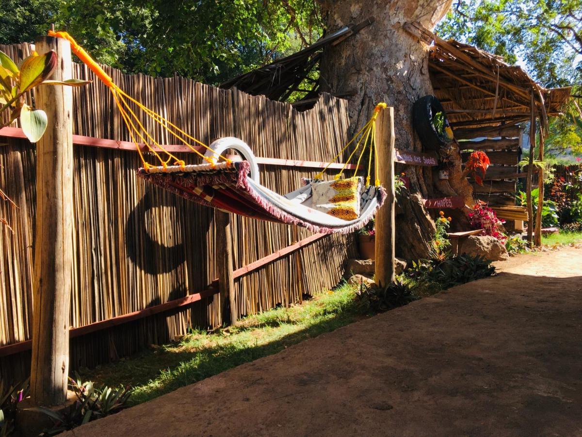 Ava Garden Backpackers Apartment Mto wa Mbu Exterior foto