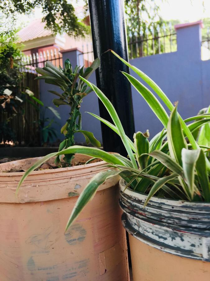 Ava Garden Backpackers Apartment Mto wa Mbu Exterior foto