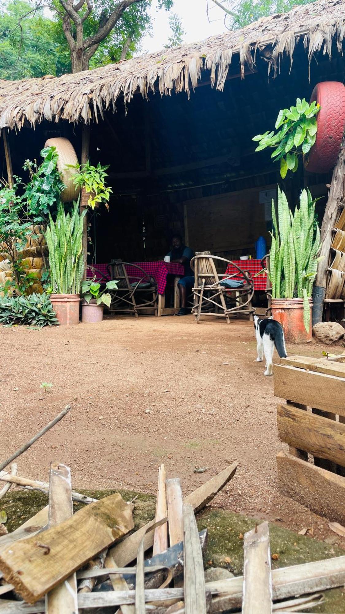 Ava Garden Backpackers Apartment Mto wa Mbu Exterior foto